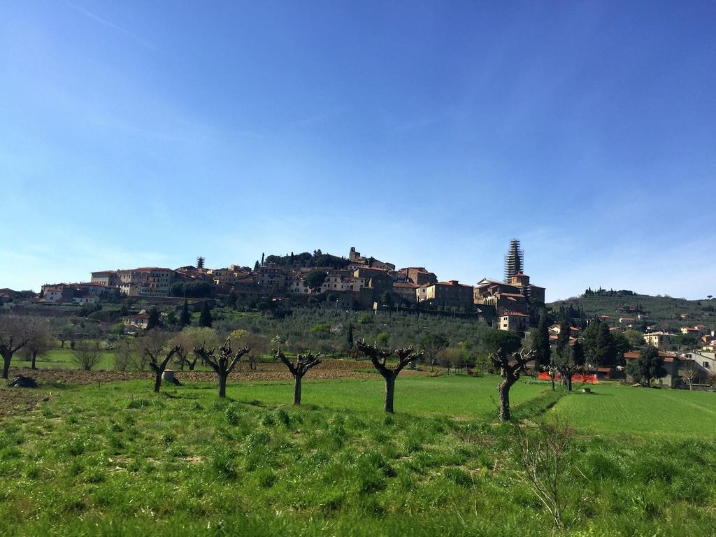 Belvilla By Oyo Agriturismo With Garden 카스티글리온플로렌티노 외부 사진