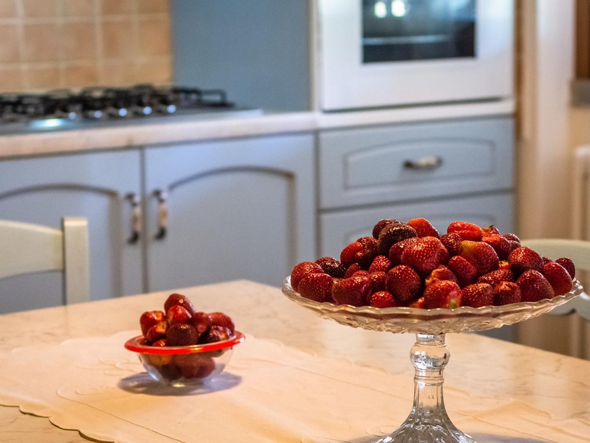 Belvilla By Oyo Agriturismo With Garden 카스티글리온플로렌티노 외부 사진